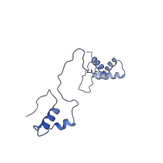 13551_7pnt_S_v1-2
Assembly intermediate of mouse mitochondrial ribosome small subunit without mS37 in complex with RbfA and Tfb1m