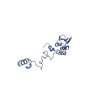 13551_7pnt_T_v1-2
Assembly intermediate of mouse mitochondrial ribosome small subunit without mS37 in complex with RbfA and Tfb1m