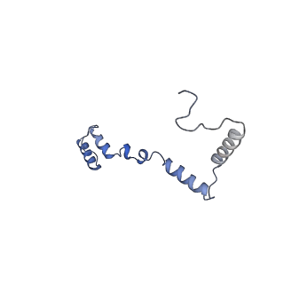 13551_7pnt_Z_v1-2
Assembly intermediate of mouse mitochondrial ribosome small subunit without mS37 in complex with RbfA and Tfb1m