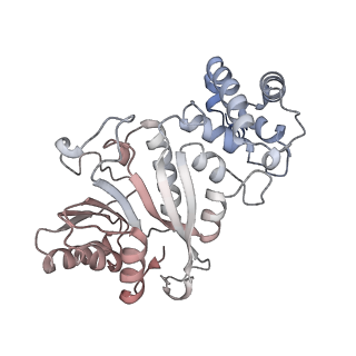 13551_7pnt_c_v1-2
Assembly intermediate of mouse mitochondrial ribosome small subunit without mS37 in complex with RbfA and Tfb1m