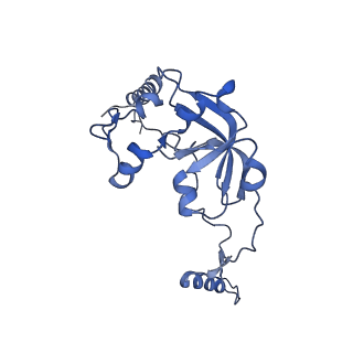 13552_7pnu_0_v1-2
Assembly intermediate of mouse mitochondrial ribosome small subunit without mS37 in complex with RbfA inward conformation