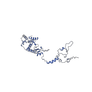 13552_7pnu_1_v1-2
Assembly intermediate of mouse mitochondrial ribosome small subunit without mS37 in complex with RbfA inward conformation