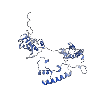 13552_7pnu_G_v1-2
Assembly intermediate of mouse mitochondrial ribosome small subunit without mS37 in complex with RbfA inward conformation