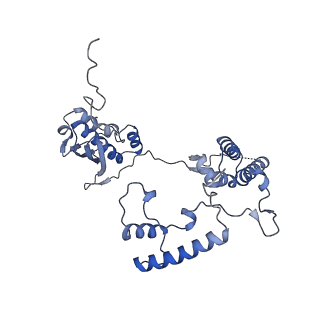 13552_7pnu_G_v2-1
Assembly intermediate of mouse mitochondrial ribosome small subunit without mS37 in complex with RbfA inward conformation