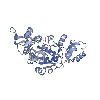 13552_7pnu_X_v1-2
Assembly intermediate of mouse mitochondrial ribosome small subunit without mS37 in complex with RbfA inward conformation