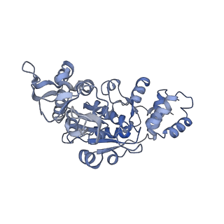 13552_7pnu_X_v2-1
Assembly intermediate of mouse mitochondrial ribosome small subunit without mS37 in complex with RbfA inward conformation