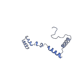13552_7pnu_Z_v1-2
Assembly intermediate of mouse mitochondrial ribosome small subunit without mS37 in complex with RbfA inward conformation