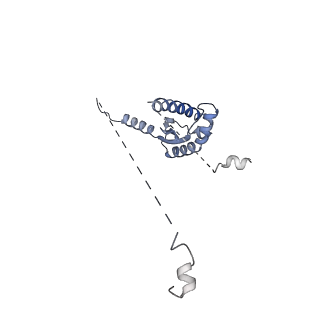 13552_7pnu_a_v1-2
Assembly intermediate of mouse mitochondrial ribosome small subunit without mS37 in complex with RbfA inward conformation