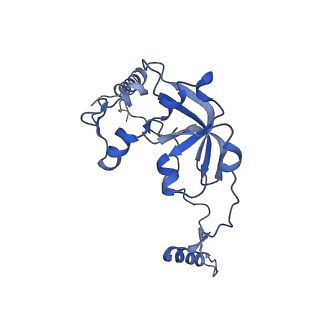 13553_7pnv_0_v1-2
Assembly intermediate of mouse mitochondrial ribosome small subunit without mS37 in complex with RbfA and Mettl15
