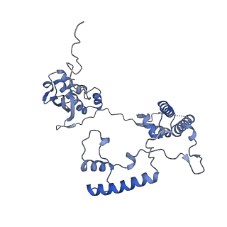 13553_7pnv_G_v1-2
Assembly intermediate of mouse mitochondrial ribosome small subunit without mS37 in complex with RbfA and Mettl15