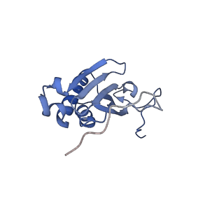 13553_7pnv_I_v1-2
Assembly intermediate of mouse mitochondrial ribosome small subunit without mS37 in complex with RbfA and Mettl15