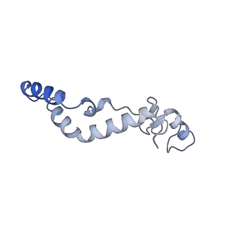 13553_7pnv_K_v1-2
Assembly intermediate of mouse mitochondrial ribosome small subunit without mS37 in complex with RbfA and Mettl15