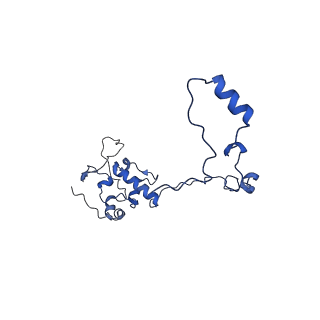 13553_7pnv_O_v1-2
Assembly intermediate of mouse mitochondrial ribosome small subunit without mS37 in complex with RbfA and Mettl15