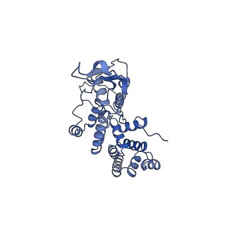 13553_7pnv_R_v1-2
Assembly intermediate of mouse mitochondrial ribosome small subunit without mS37 in complex with RbfA and Mettl15