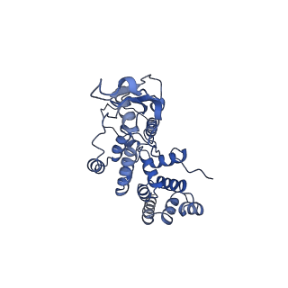 13553_7pnv_R_v2-1
Assembly intermediate of mouse mitochondrial ribosome small subunit without mS37 in complex with RbfA and Mettl15