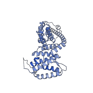 13553_7pnv_V_v1-2
Assembly intermediate of mouse mitochondrial ribosome small subunit without mS37 in complex with RbfA and Mettl15
