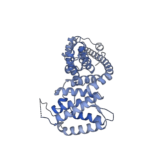 13553_7pnv_V_v2-1
Assembly intermediate of mouse mitochondrial ribosome small subunit without mS37 in complex with RbfA and Mettl15