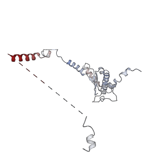 13553_7pnv_a_v1-2
Assembly intermediate of mouse mitochondrial ribosome small subunit without mS37 in complex with RbfA and Mettl15