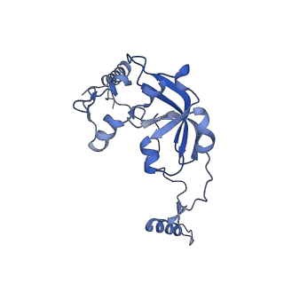 13554_7pnw_0_v1-2
Mouse mitochondrial ribosome small subunit lacking m5U modification