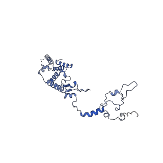 13554_7pnw_1_v1-2
Mouse mitochondrial ribosome small subunit lacking m5U modification