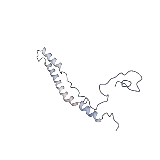 13554_7pnw_2_v1-2
Mouse mitochondrial ribosome small subunit lacking m5U modification