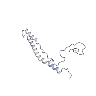 13554_7pnw_2_v2-1
Mouse mitochondrial ribosome small subunit lacking m5U modification