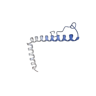13554_7pnw_3_v1-2
Mouse mitochondrial ribosome small subunit lacking m5U modification
