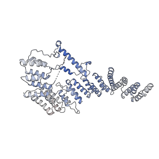 13554_7pnw_4_v1-2
Mouse mitochondrial ribosome small subunit lacking m5U modification