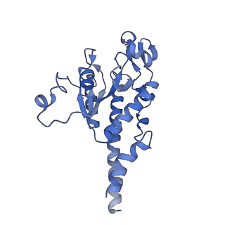13554_7pnw_B_v1-2
Mouse mitochondrial ribosome small subunit lacking m5U modification