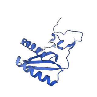 13554_7pnw_C_v1-2
Mouse mitochondrial ribosome small subunit lacking m5U modification