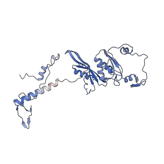 13554_7pnw_D_v1-2
Mouse mitochondrial ribosome small subunit lacking m5U modification