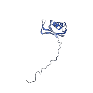 13554_7pnw_E_v1-2
Mouse mitochondrial ribosome small subunit lacking m5U modification