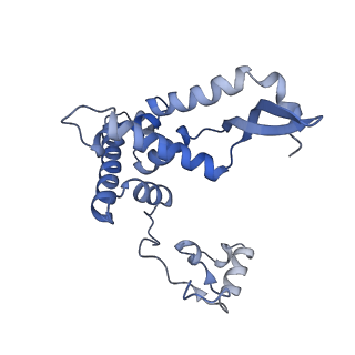 13554_7pnw_F_v1-2
Mouse mitochondrial ribosome small subunit lacking m5U modification