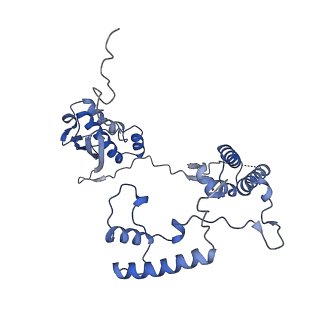 13554_7pnw_G_v1-2
Mouse mitochondrial ribosome small subunit lacking m5U modification