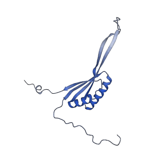 13554_7pnw_H_v1-2
Mouse mitochondrial ribosome small subunit lacking m5U modification