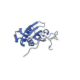 13554_7pnw_I_v1-2
Mouse mitochondrial ribosome small subunit lacking m5U modification