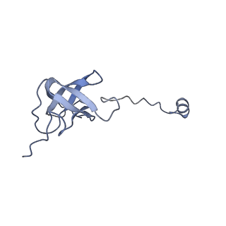 13554_7pnw_J_v1-2
Mouse mitochondrial ribosome small subunit lacking m5U modification