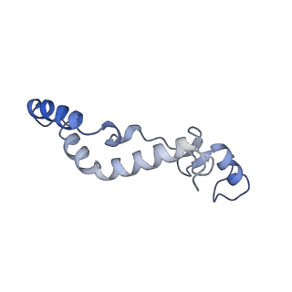 13554_7pnw_K_v1-2
Mouse mitochondrial ribosome small subunit lacking m5U modification