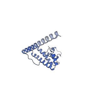 13554_7pnw_L_v1-2
Mouse mitochondrial ribosome small subunit lacking m5U modification