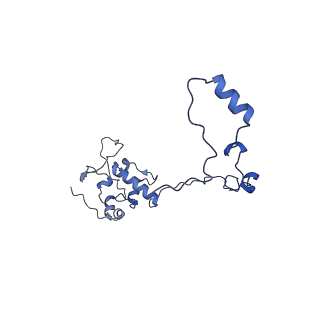 13554_7pnw_O_v2-1
Mouse mitochondrial ribosome small subunit lacking m5U modification
