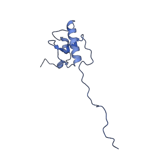 13554_7pnw_P_v1-2
Mouse mitochondrial ribosome small subunit lacking m5U modification
