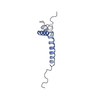 13554_7pnw_Q_v1-2
Mouse mitochondrial ribosome small subunit lacking m5U modification