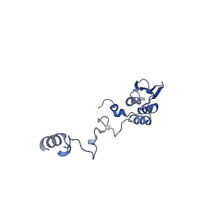 13554_7pnw_T_v1-2
Mouse mitochondrial ribosome small subunit lacking m5U modification