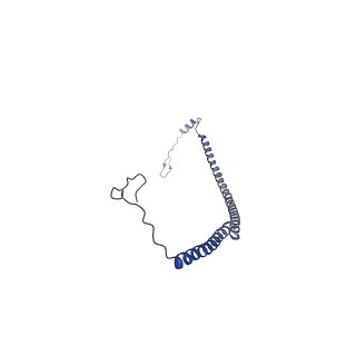 13554_7pnw_U_v1-2
Mouse mitochondrial ribosome small subunit lacking m5U modification