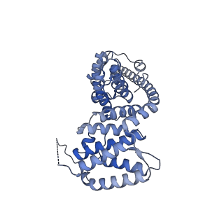13554_7pnw_V_v1-2
Mouse mitochondrial ribosome small subunit lacking m5U modification