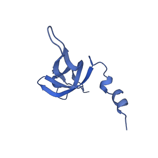 13554_7pnw_W_v1-2
Mouse mitochondrial ribosome small subunit lacking m5U modification