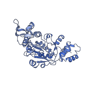 13554_7pnw_X_v1-2
Mouse mitochondrial ribosome small subunit lacking m5U modification