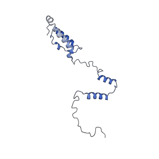 13554_7pnw_Y_v1-2
Mouse mitochondrial ribosome small subunit lacking m5U modification