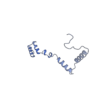 13554_7pnw_Z_v1-2
Mouse mitochondrial ribosome small subunit lacking m5U modification