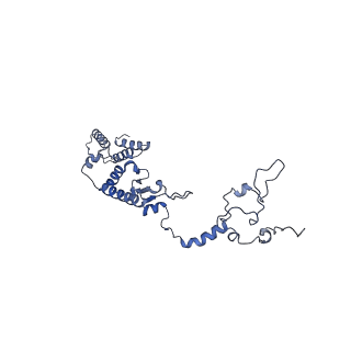 13555_7pnx_1_v1-2
Assembly intermediate of human mitochondrial ribosome small subunit without mS37 in complex with RBFA and METTL15 conformation a